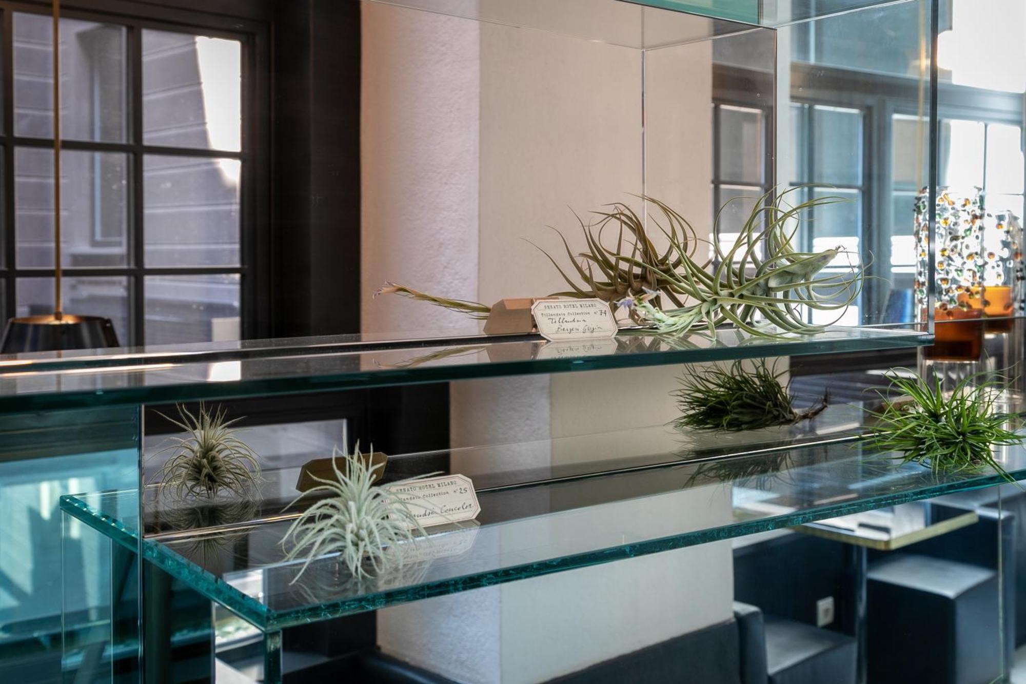 Senato Hotel Milano Ngoại thất bức ảnh